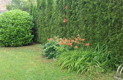 Bukfurdo House | Vacation home with garden in Bad Bük, 150 m from the thermal spa