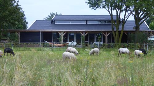 Municipality of Haaren Apartment | Vakantiehuis Weideblik