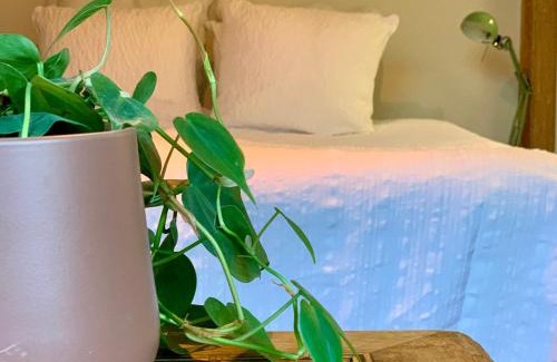 Lanklaar House | Vakantiewoning Guesthouse MOMO