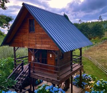 Albergaria-a-Velha House | Vale da Silva Villas - Quinta