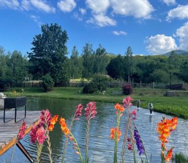 Sinca Veche Resort | Valea Salbatica