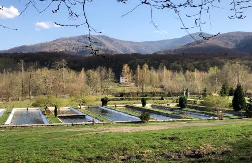 Sinca Veche Resort | Valea Salbatica