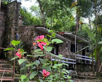 El Carrizal Hotel | Valle de la Pitaya