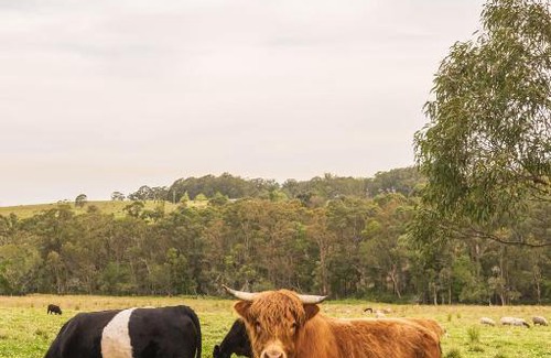 Cooranbong Apartment | Valley Green Haven Estate