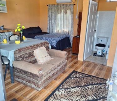 Jerningham Junction Apartment | Valsalms