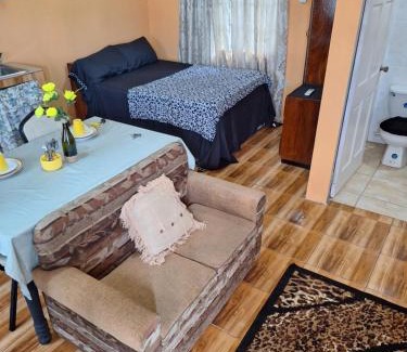 Jerningham Junction Apartment | Valsalms