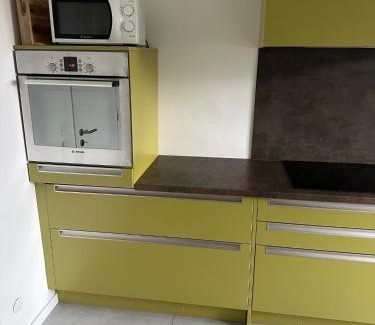 Illkirch-Graffenstaden Apartment | Vaste appartement avec parking gratuit, borne dispo et espace de travail