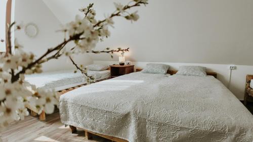 Nagyveleg Apartment | Velegi Kaland Tanya