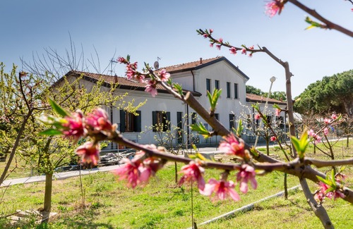 Punta Sabbioni House | VENICE APARTMENT