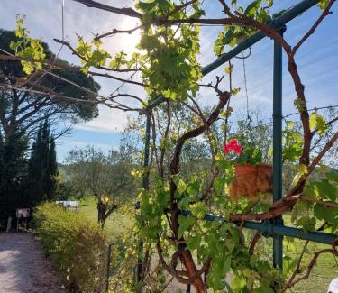 Riotorto Bed & Breakfast | Vento e Mare