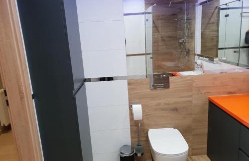 Swieradow-Zdroj Apartment | Vera Apartment Świeradów-Zdrój Zakopiańska 22 C m10