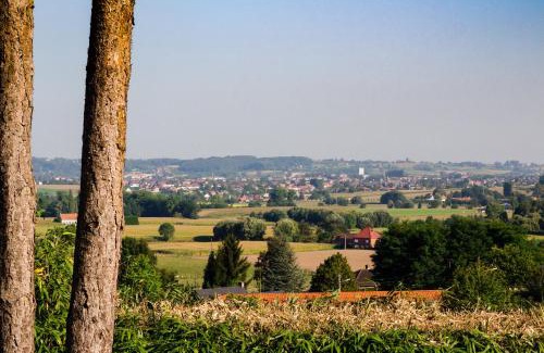 Frasnes-Lez-Anvaing Hotel | Vertes Feuilles