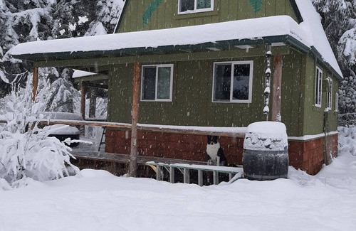 Port Angeles Cabin | Very private artist studio cabin in the Olympic National Park. Beautiful Views!