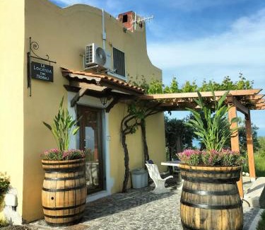 Boscotrecase House | Vesuvio Inn Guest House e Wine Experience