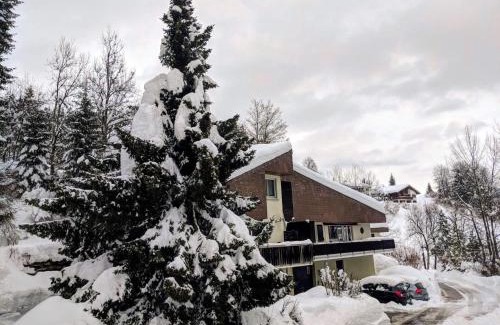 Laax Ski Chalet | Via Valla - Spacious Open-plan and Peaceful Chalet in Salums