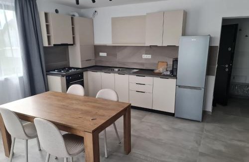 Sighetu Marmatiei Apartment | Vibe Apartment