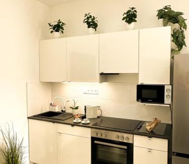 Szekesfehervar Apartment | VIBE S32 Apartman,AC,Free Parking
