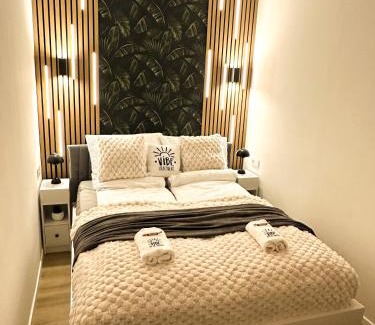 Szekesfehervar Apartment | VIBE S33 Apartman,AC,Free Parking