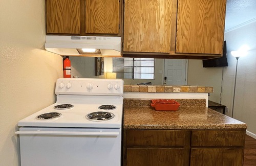 Monahans Apartment | Vibrant 1BR Apartment, Pet-Friendly!
