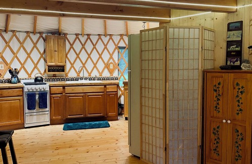 Sequim Cabin | Vibrant and unique yurt - Welcome to Madrona Grove