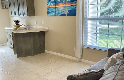 Palm River Estates House | Vibrant home close to best beach parks and shops backyard pool with a lake