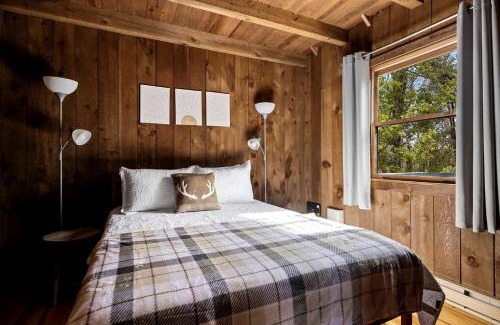 Mathias House | Vibrant Woodland Cabin Sanctuary near Great Cacapon River in West Virginia