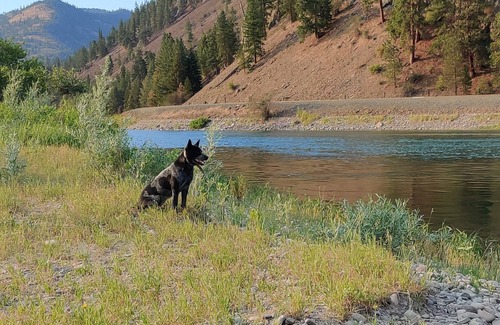 Glacier Country Cabin | Victorian Dream, glamping by the river, 2 miles from Quinn's Hot Springs Resort.