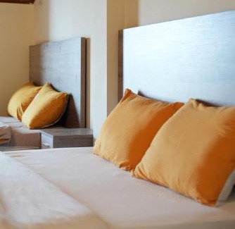 Da Lat Hotel | VieAn House Villa Da Lat
