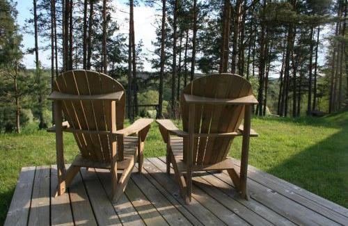 Alytus county Cabin | Vienkiemis prie Merkinės