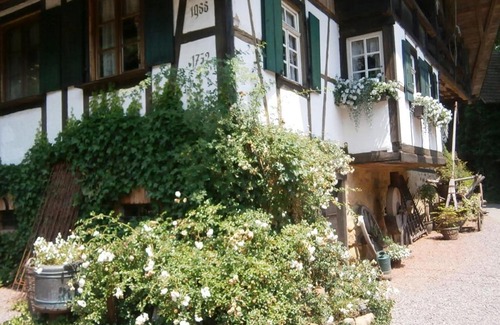 Schuttertal Apartment | Vier Jahreszeiten Idyll