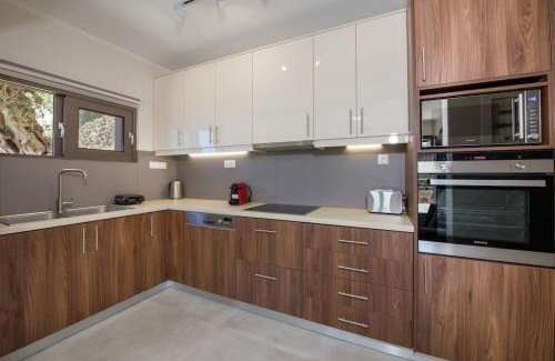 Amigdalokefali Apartment | Vigla Apartments No.3