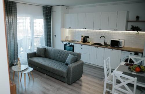 Floresti Apartment | Viktor's place