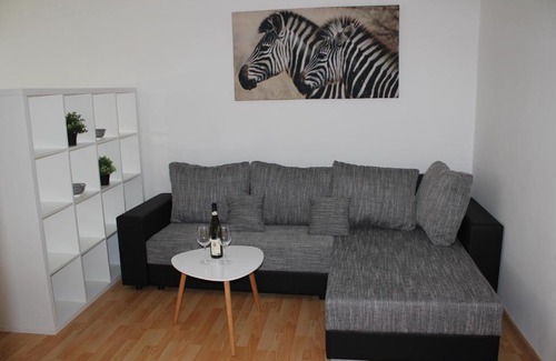 Frydek-Mistek Apartment | Viktorie