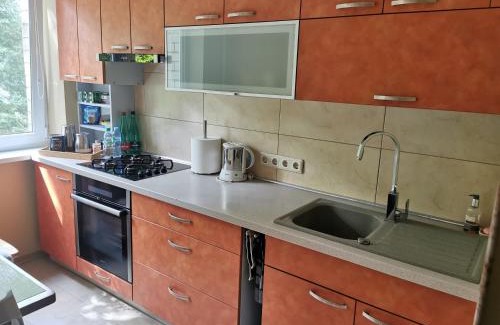 Panevezys Apartment | Viktorijos Apartamentai - Erdvus 2 kambarių butas
