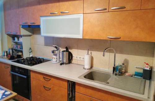 Panevezys Apartment | Viktorijos Apartamentai - Erdvus 2 kambarių butas