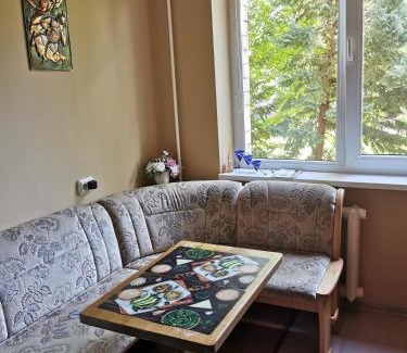 Panevezys Apartment | Viktorijos Apartamentai - Erdvus 2 kambarių butas