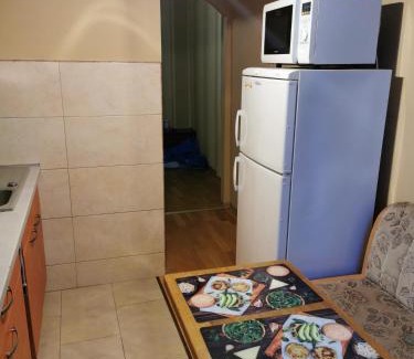 Panevezys Apartment | Viktorijos Apartamentai - Erdvus 2 kambarių butas