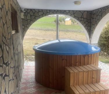 Sarisor House | Vila Ancuța