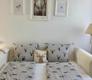 Ralsko Apartment | Vila Bílý Jelen apartments Ralsko