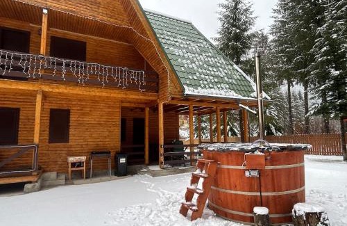 Tarcau House | Vila Bradul Tarcău