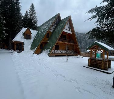 Tarcau House | Vila Bradul Tarcău