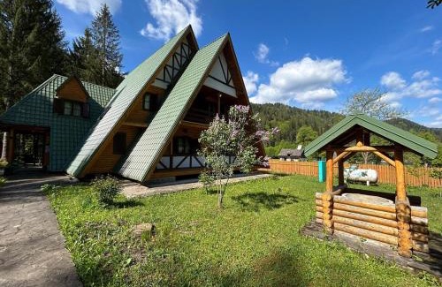 Tarcau House | Vila Bradul Tarcău