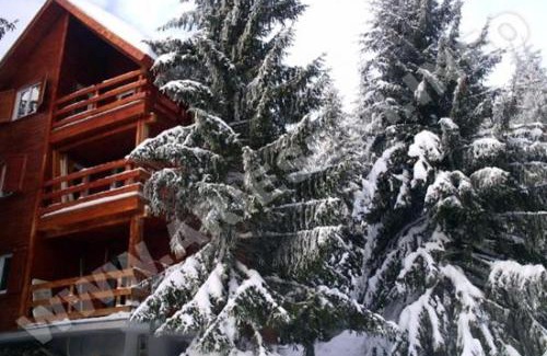 Vartop House | VILA DARIA