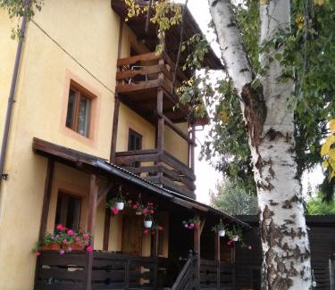 Vatra Dornei House | vila Dariana