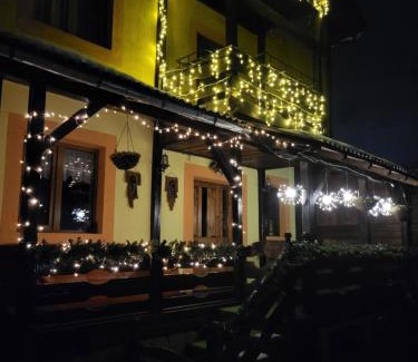 Vatra Dornei House | vila Dariana