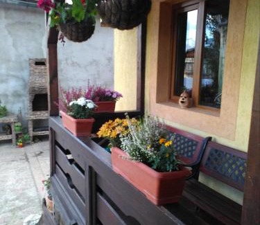 Vatra Dornei House | vila Dariana