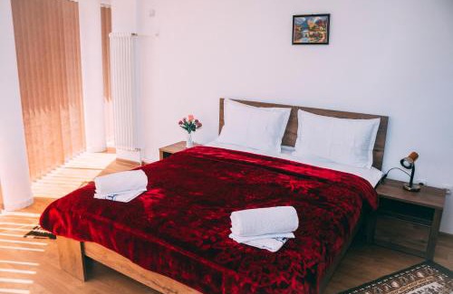 Dragomirna House | Vila Dragomirna