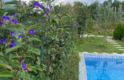 Dajt House | Vila elektra