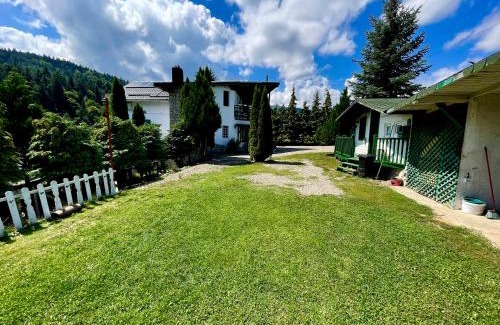 Sacele House | Vila Horia Bradet