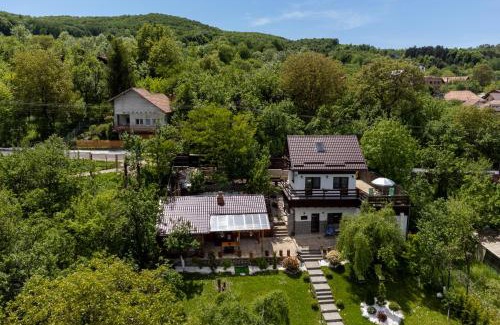 Pietrosita Villa | Vila Rustic INN Bucegi